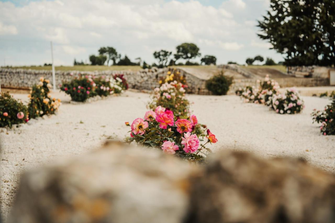 סלבה די פאסנו Nina Trulli Resort מראה חיצוני תמונה