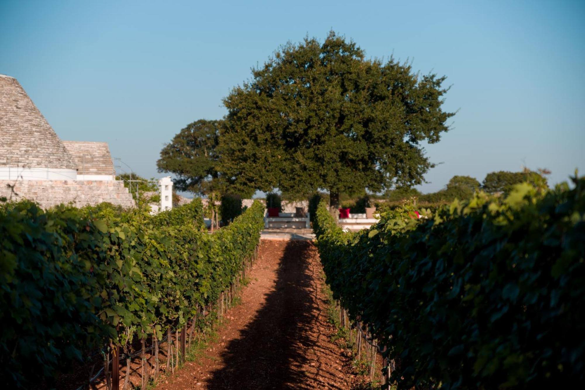 סלבה די פאסנו Nina Trulli Resort מראה חיצוני תמונה